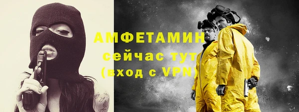 крисы Абаза