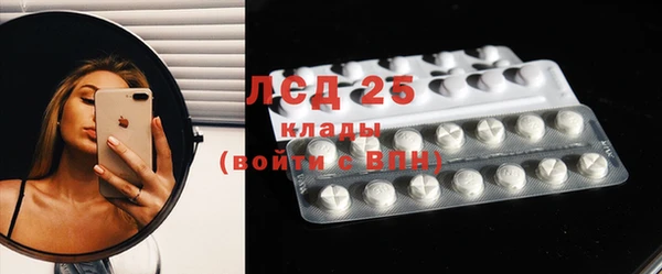крисы Абаза
