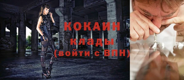 крисы Абаза