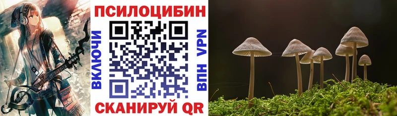 купить наркотики сайты  KRAKEN ссылки  Галлюциногенные грибы мицелий  Азнакаево 